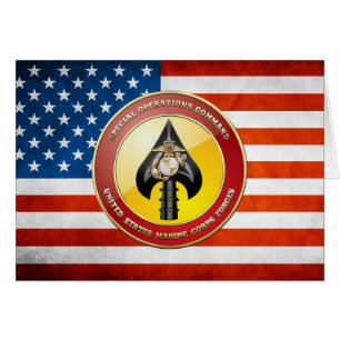 USMC Special Operations Command (MARSOC) [3D]