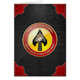 USMC Special Operations Command (MARSOC) [3D]