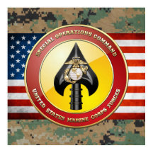 USMC Special Operations Command (MARSOC) [3D]