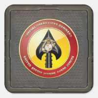 USMC Special Operations Command (MARSOC) [3D]