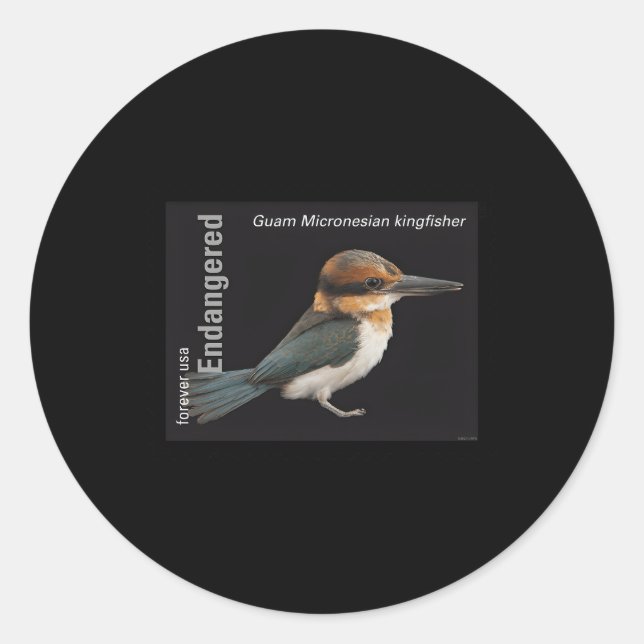 Usps Endangered Species Kingfisher Full Stamp Classic Round Sticker (Front)