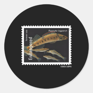 Usps Endangered Species Roanoke Logperch Left Ches Classic Round Sticker