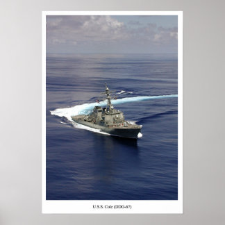 USS Cole (DG 67) Poster