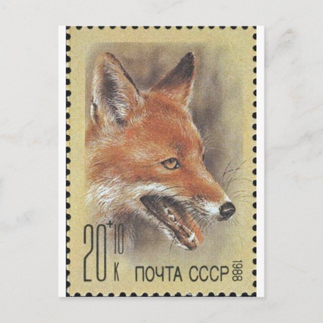 USSR Stamp ~ Fox Postcard (Front)