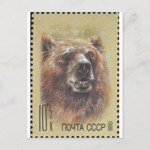 USSR ~ Stamp Russian Bear Postcard