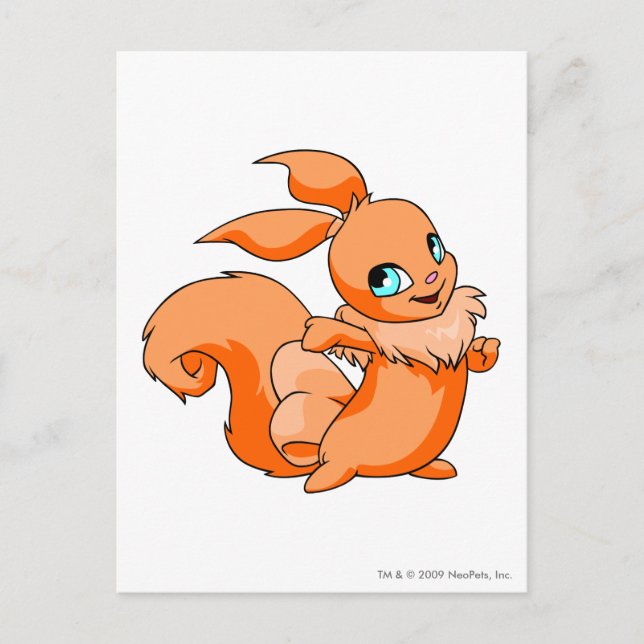 Usul Orange Postcard (Front)