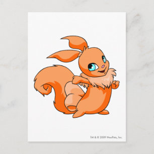 Usul Orange Postcard