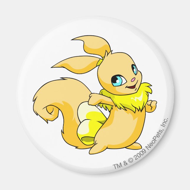 Usul Yellow Magnet (Front)