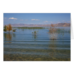 UT, Bear Lake