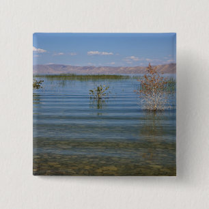 UT, Bear Lake 15 Cm Square Badge