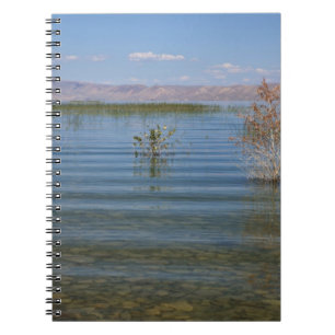 UT, Bear Lake Notebook