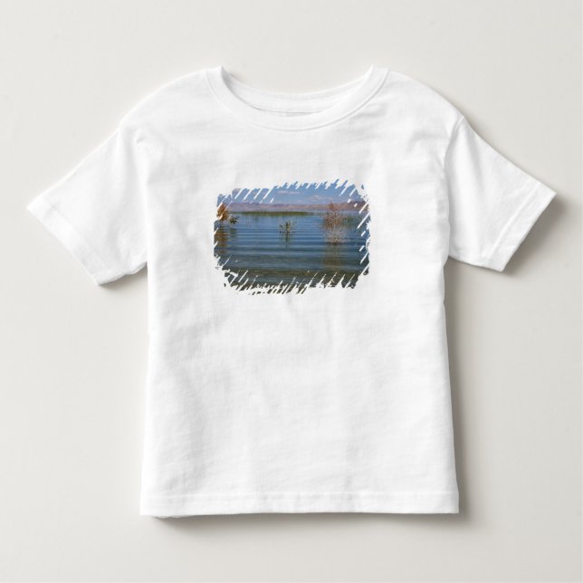 UT, Bear Lake Toddler T-Shirt (Front)