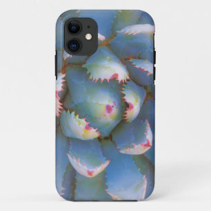 Utah, Dixie National Forest. Close-up of yucca iPhone 11 Case