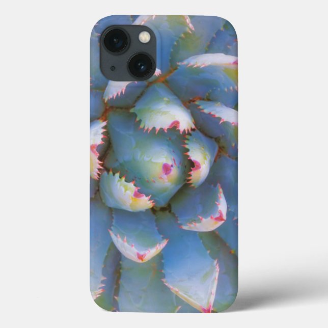 Utah, Dixie National Forest. Close-up of yucca Case-Mate iPhone Case (Back)