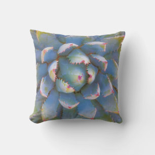 Utah, Dixie National Forest. Close-up of yucca Cushion