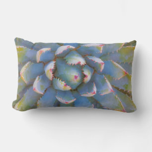 Utah, Dixie National Forest. Close-up of yucca Lumbar Cushion