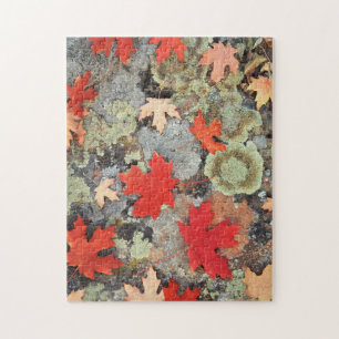 Utah, Fishlake National Forest. Patterns Jigsaw Puzzle