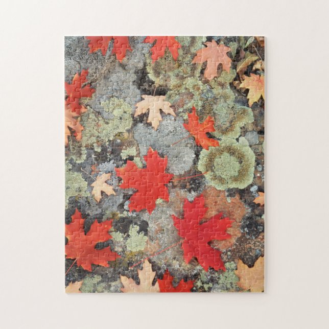 Utah, Fishlake National Forest. Patterns Jigsaw Puzzle (Vertical)