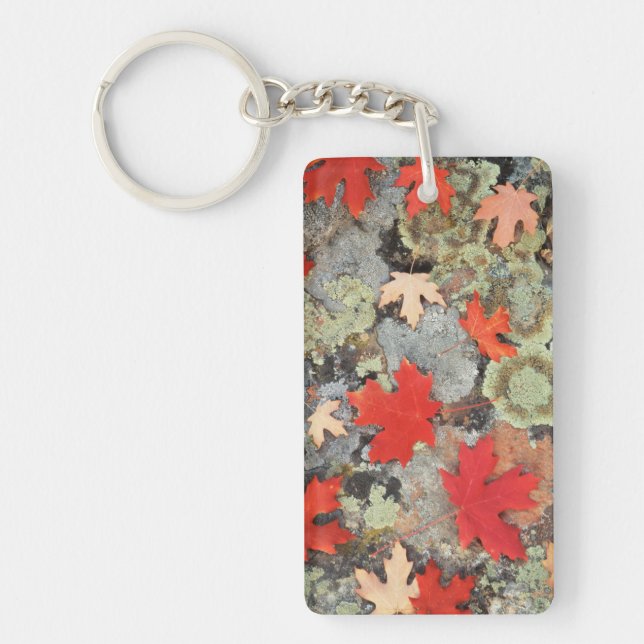 Utah, Fishlake National Forest. Patterns Key Ring (Front)
