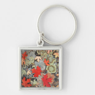 Utah, Fishlake National Forest. Patterns Key Ring