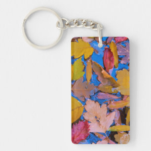 Utah, Glen Canyon National Recreation Area 2 Key Ring
