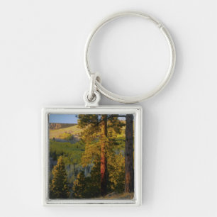 UTAH. Ponderosa pines & aspen, autumn. Sunrise, Key Ring