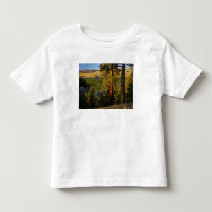 UTAH. Ponderosa pines & aspen, autumn. Sunrise, Toddler T-Shirt