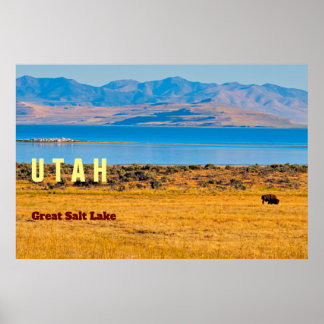 UTAH  The Great Salt Lake State Poster