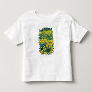 UTAH. USA. Arrowleaf balsamroot Balsamorhiza Toddler T-Shirt