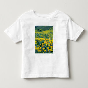UTAH. USA. Arrowleaf balsamroot Balsamorhiza Toddler T-Shirt