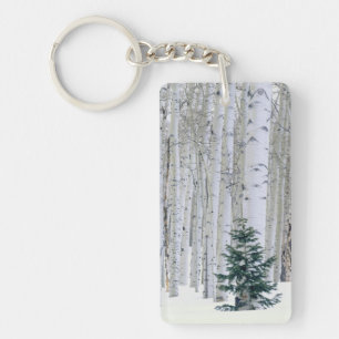 UTAH. USA. Aspen (Populus tremuloides) & Douglas Key Ring