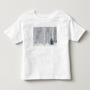 UTAH. USA. Aspen (Populus tremuloides) & Douglas Toddler T-Shirt