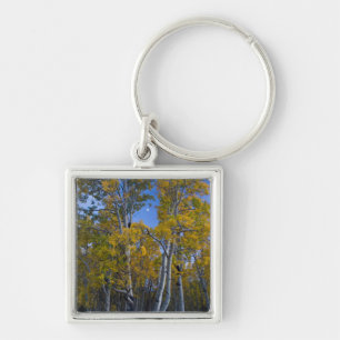 Utah. USA. Aspen Trees And Moon At Dusk Key Ring