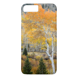 Utah, USA. Aspen Trees And Willow Thickets iPhone 8 Plus/7 Plus Case