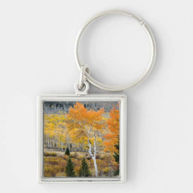 Utah, USA. Aspen Trees And Willow Thickets Key Ring (Front)