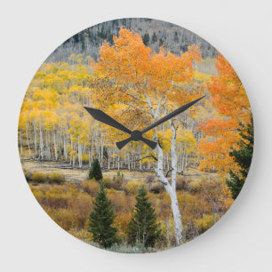 Utah, USA. Aspen Trees And Willow Thickets Large Clock