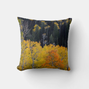 Utah. USA. Aspen Trees In Autumn On The Sevier Cushion