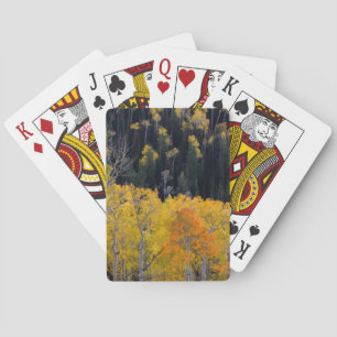 Utah. USA. Aspen Trees In Autumn On The Sevier Playing Cards