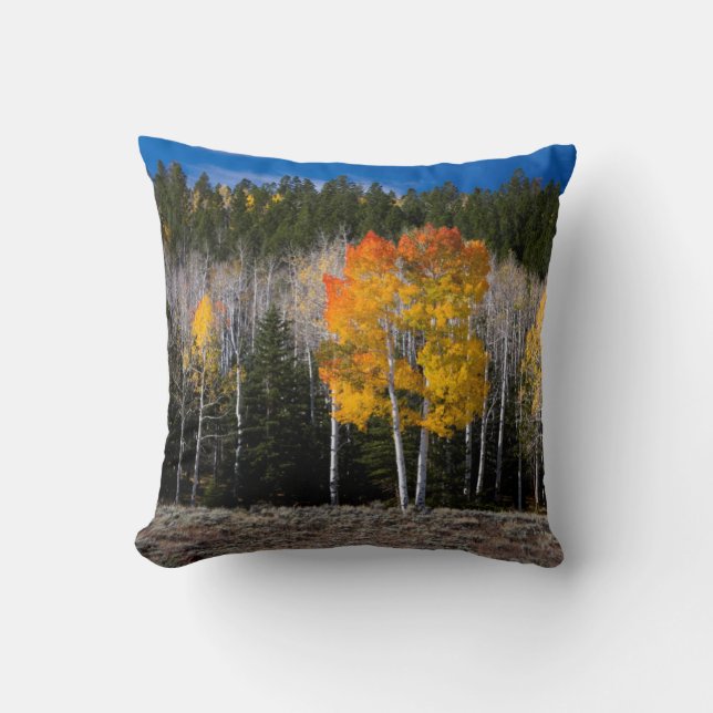 Utah, USA. Aspen Trees (Populus Tremuloides) 2 Cushion (Front)