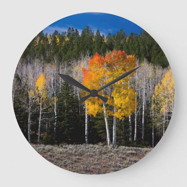 Utah, USA. Aspen Trees (Populus Tremuloides) 2 Large Clock (Front)