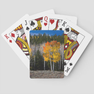 Utah, USA. Aspen Trees (Populus Tremuloides) 2 Playing Cards