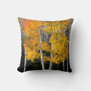 Utah, USA. Aspen Trees (Populus Tremuloides) 3 Cushion