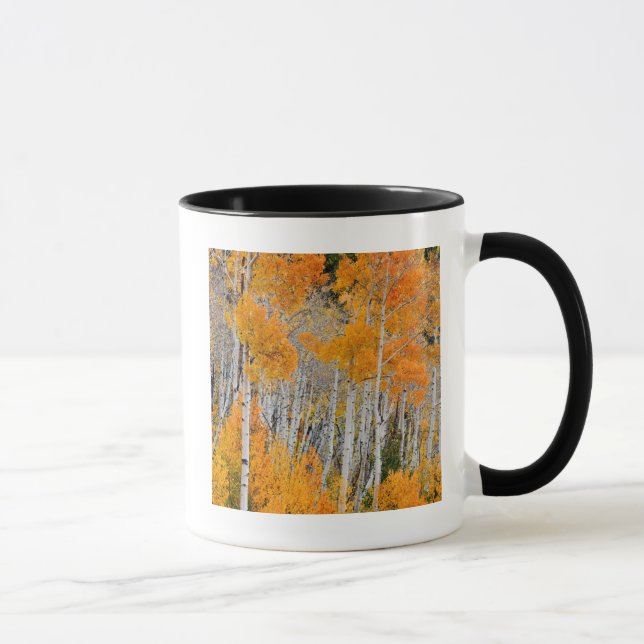 Utah, USA. Aspen Trees (Populus Tremuloides) 4 Mug (Right)
