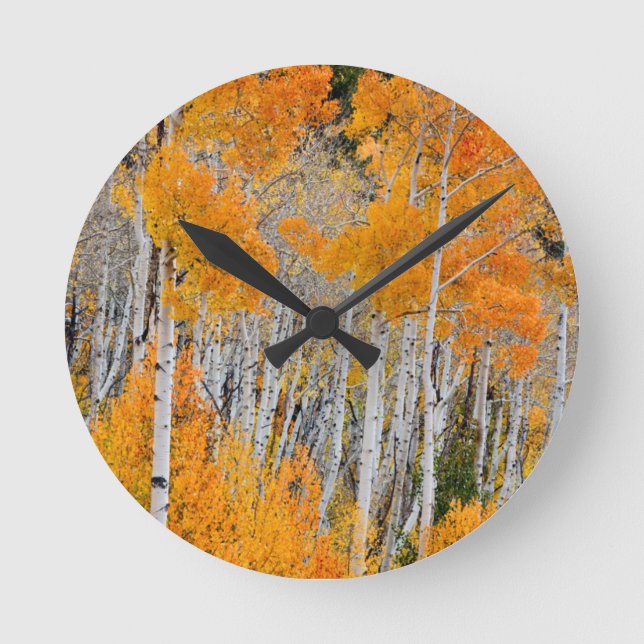 Utah, USA. Aspen Trees (Populus Tremuloides) 4 Round Clock (Front)