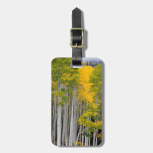 Utah. USA. Aspen Trees (Populus Tremuloides) Luggage Tag