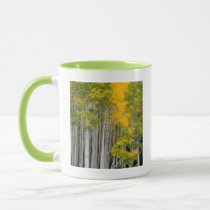 Utah. USA. Aspen Trees (Populus Tremuloides) Mug