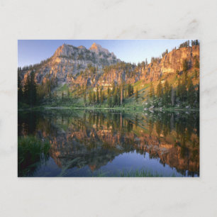 UTAH. USA. Mt. Magog reflected in White Pine Postcard