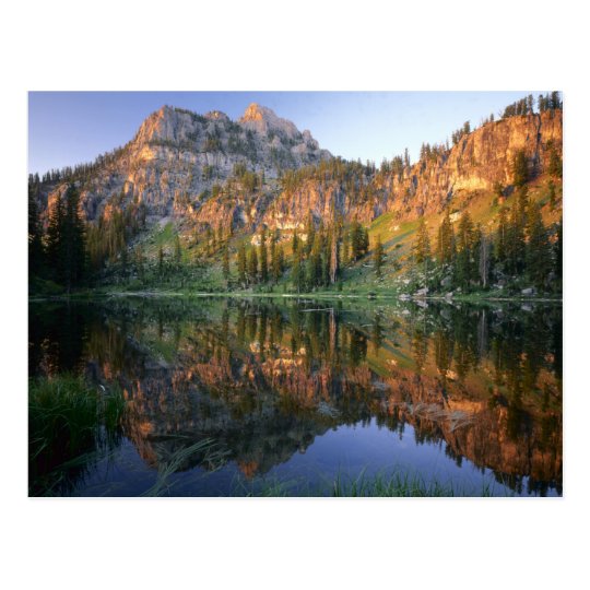 UTAH. USA. Mt. Magog reflected in White Pine Postcard