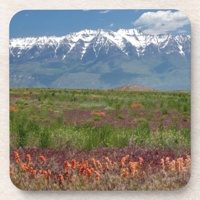 Utah, USA. Mt. Timpanogos Rises Above Coaster (Front)