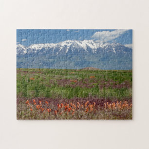 Utah, USA. Mt. Timpanogos Rises Above Jigsaw Puzzle